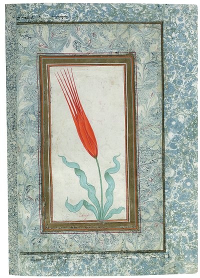 Sivu Turkish Tulip -albumista, Istanbul, 1725 tekijältä Turkish School