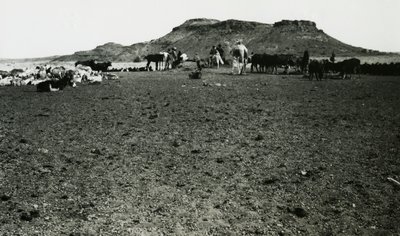 Näkymä Naqan arkeologiselta alueelta, jossa on dromedaareja ja karjaa, Sudan, valokuvaaja Ugo Monneret de Villard. tekijältä Ugo Monneret de Villard