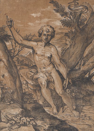 Nuori Pyhä Johannes Kastaja erämaassa, n. 1520-27. tekijältä Ugo da Carpi