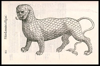 Hirviö: leijona, joka on peitetty kalan suomuilla (tai leijonakalalla). Kaiverrus Ulisse Aldrovandi (1522-1605), "Monstrorum Historiae", Bologna 1642 tekijältä Ulisse Aldrovandi