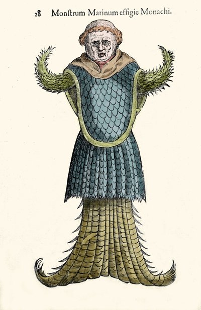 Ulisse Aldrovandin (1522-1605) merimunkki, kuvitteellinen kala ja merihirviö, "Monstrorum Historiae", Bologna 1642 tekijältä Ulisse Aldrovandi