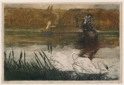 Järvi ja joutsenia tekijältä Umberto Boccioni