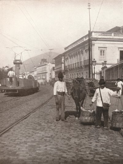 Botafogon katunäkymä, Rio, 1914 tekijältä Unbekannt