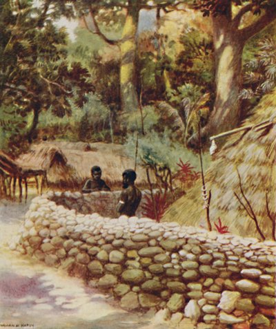 Chiefs House, New Hebrides, 1923. tekijältä Unbekannt