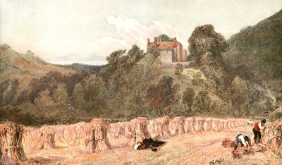 Cornfield, 1840-luku, 1900-luku. tekijältä Unbekannt