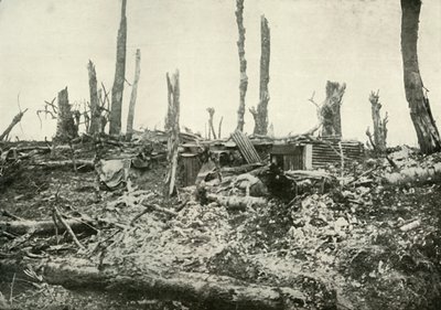 Kaivettu ulos Sylvan Woodissa, 1919. tekijältä Unbekannt