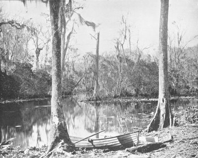 St. Johns Riverin syöttölaite, Florida, USA, n. 1900. tekijältä Unbekannt