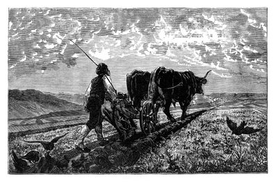 Ranskalainen maanviljelijä, 1890 tekijältä Unbekannt