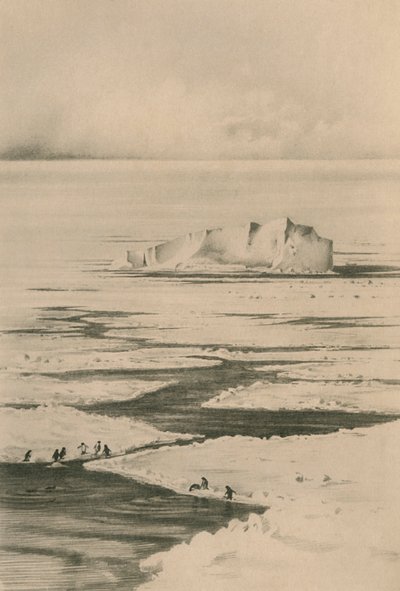 Lyijy pakkauksessa, c19101913, 1913 tekijältä Unbekannt