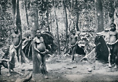 Pygmy-kylä Koillis-Kongon altaassa, 1912 tekijältä Unbekannt