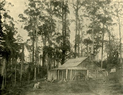 Maalaismainen asunto, 1901. tekijältä Unbekannt