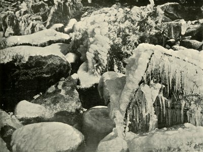 Talvikohtaus Uudessa Englannissa, 1901. tekijältä Unbekannt