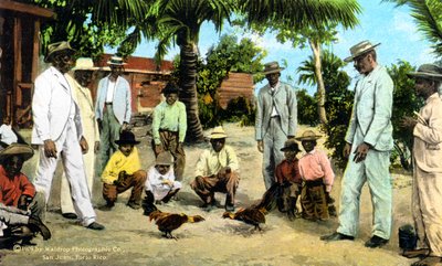 Kukkotaistelu, Puerto Rico, 1909 tekijältä Unbekannt