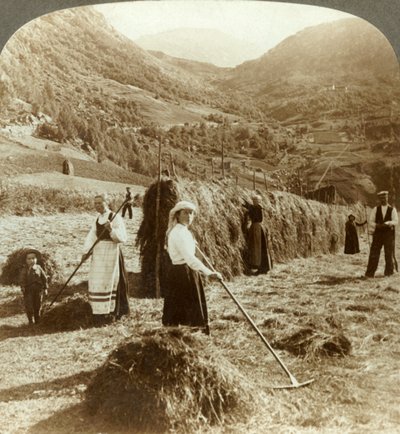 Maanviljelijäperhe tekemässä heinää aurinkoisella pellolla vuorten välissä, Roldal, Norja, c1905. tekijältä Unbekannt