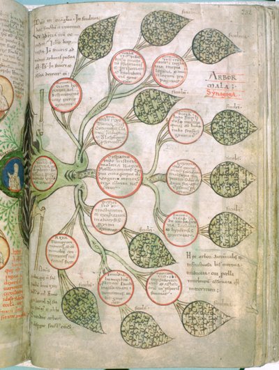 Sivu Liber Floriduksesta, 1100-luku tekijältä Unbekannt