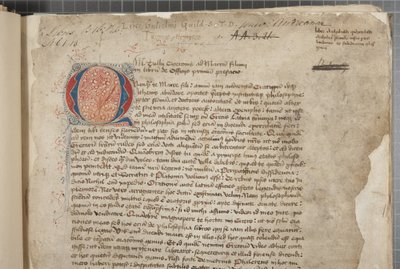 Marcus Tullius Ciceron filosofisten teosten transkriptio, kolmessa kädessä, ilmeisesti otettu vuoden 1471 editio romanasta, marginaalit Archibald Whitelawin ja muiden käsissä, n. 1480 (muste pergamentille) tekijältä Unbekannt