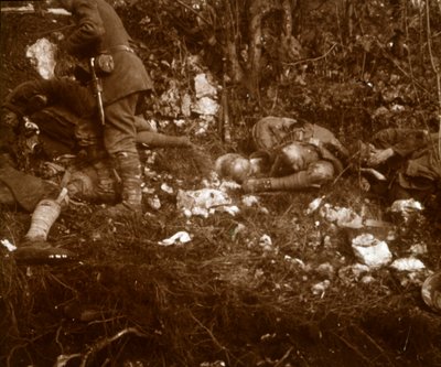 Taistelun jälkimainingit, c1914-c1918 tekijältä Unbekannt