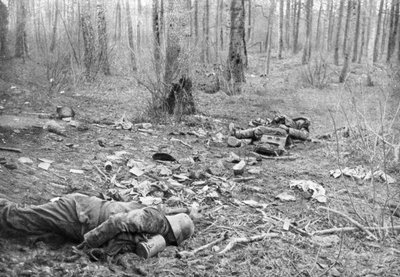 Taistelujen jälkimainingit Plessis-de-Royen puistossa, Picardy, Ranska, 30. maaliskuuta 1918 tekijältä Unbekannt