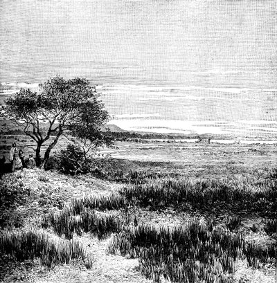 Agha Valley, Keski-Pampa, Argentiina, 1895 tekijältä Unbekannt