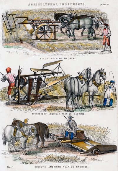 Maatalousvälineet, 1800-luku tekijältä Unbekannt