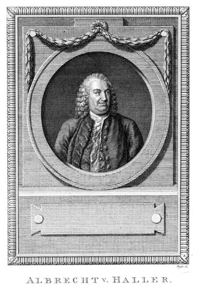 Albrecht von Haller, sveitsiläinen lääkäri ja tiedemies, c1770 c1780 tekijältä Unbekannt