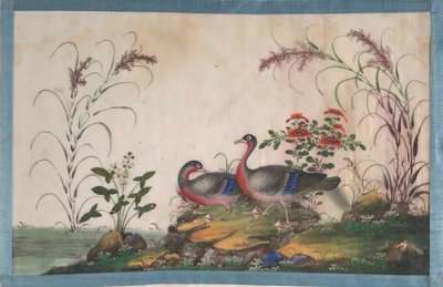 Albumi, joka sisältää kaksitoista lintumaalausta, 1800-luku. tekijältä Unbekannt