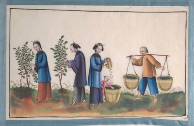 Albumi, joka sisältää kaksitoista maalausta silkkiä tekevistä ihmisistä, 1800-luku. tekijältä Unbekannt