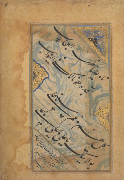 Albumi Leaf Shi