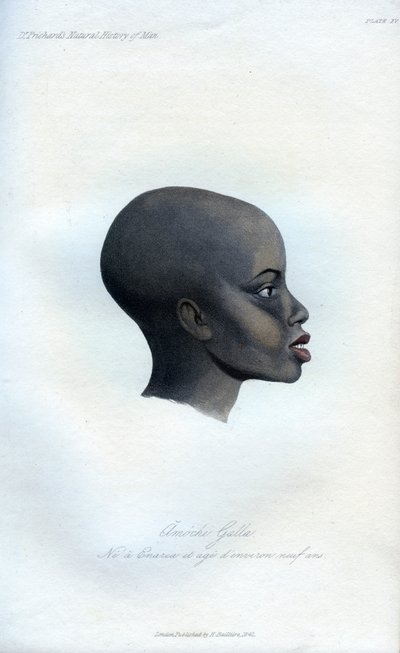 Amochi Galla, muotokuva Gallasta, 1848 tekijältä Unbekannt