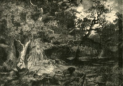 Vanha saksalainen metsä, 1890. tekijältä Unbekannt
