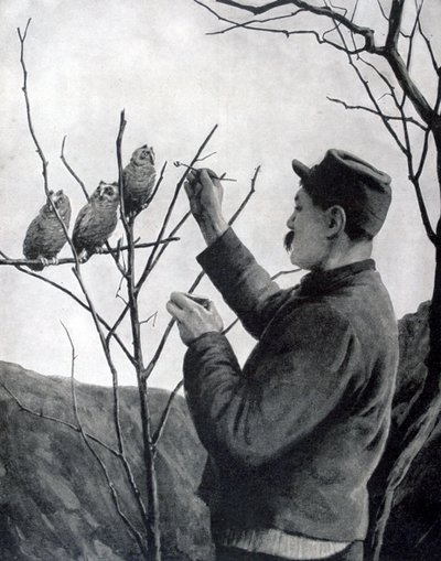 Alkuperäinen kaivannon koristelu, Ranska, ensimmäinen maailmansota, 1915 tekijältä Unbekannt