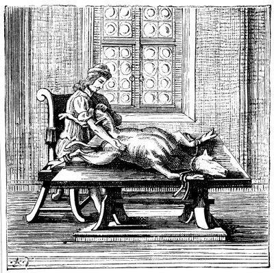 Verensiirto eläimestä ihmiseen, 1679 tekijältä Unbekannt
