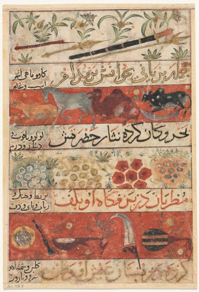 Eläimet, jalokivet, kolikot ja soittimet recto..., c. 1341. tekijältä Unbekannt