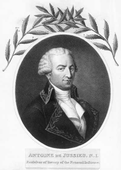 Antoine de Jussieu, 1700-luvun ranskalainen kasvitieteilijä, 1807 tekijältä Unbekannt