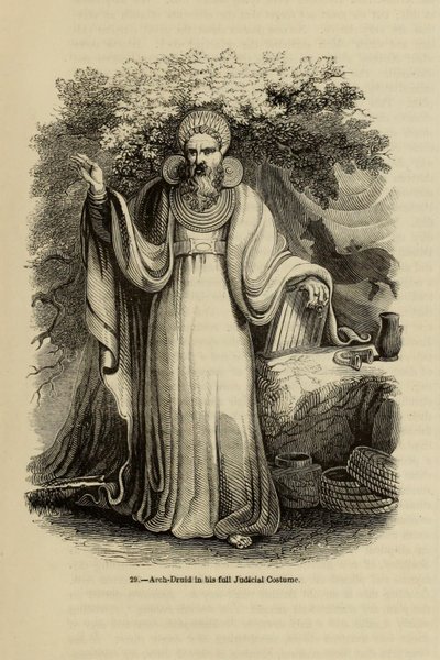 Arch-Druid täydessä oikeusasussaan Kirjasta Old England: A Pictorial Museum, 1845 tekijältä Unbekannt