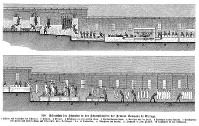 Armor Companyn sikateurastamo, Chicago, Illinois, USA, 1895 tekijältä Unbekannt