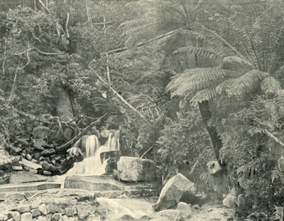 St. Crispins Well, 1901. tekijältä Unbekannt
