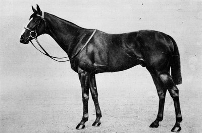 Bachelors Double, 1911 tekijältä Unbekannt