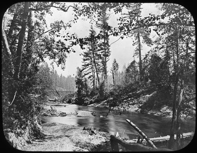Backwoods, Länsi-USA, 1800-luvun loppu tai 1900-luvun alku tekijältä Unbekannt