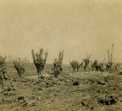 Battlefield, Maurepas, Pohjois-Ranska, c1914-c1918 tekijältä Unbekannt