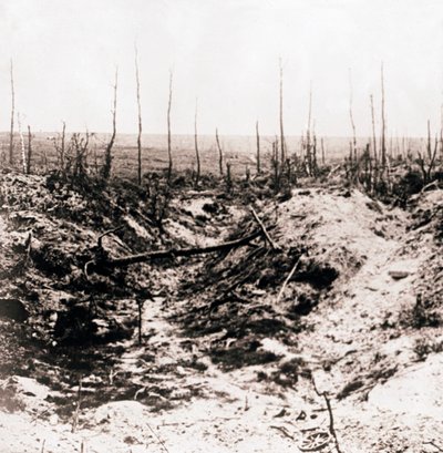 Battlefield, c1914-c1918 tekijältä Unbekannt