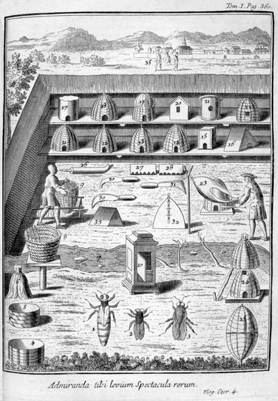 Mehiläishoito, 1775 tekijältä Unbekannt