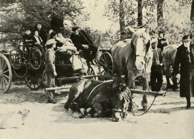 Belgian pakolaiset tiellä, 1939-1940, 1941. tekijältä Unbekannt