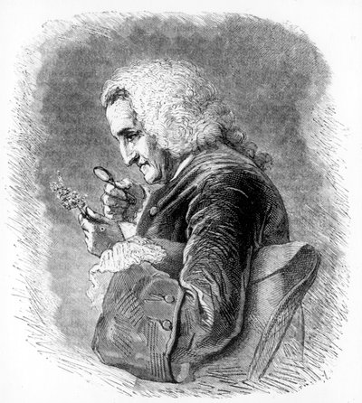 Bernard de Jussieu, 1700-luvun ranskalainen kasvitieteilijä, 1880 tekijältä Unbekannt
