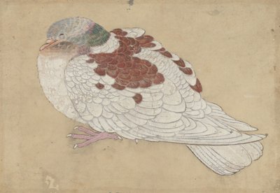 Lintu, 1700-luku. tekijältä Unbekannt