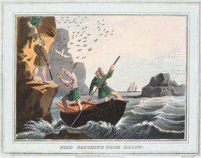 Lintupyyntiä alhaalta, Shetlandinsaarilta, 1813 tekijältä Unbekannt