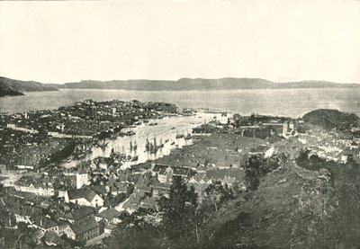 Lintuperspektiivinäkymä satamaan, Bergen, Norja, 1895. tekijältä Unbekannt