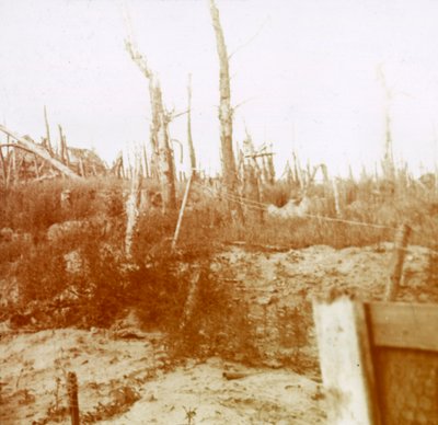 Puhallettu puu, Nieuwpoort, Flanderi, Belgia, c1914-c1918 tekijältä Unbekannt