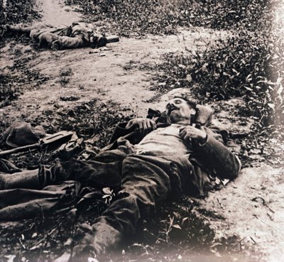 Kuolleiden sotilaiden ruumiit, c1914-c1918 tekijältä Unbekannt