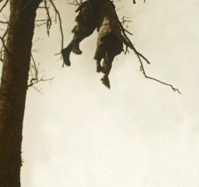 Runko puussa, Bois dAvocourt, Verdun, Pohjois-Ranska, c1914-c1918. tekijältä Unbekannt